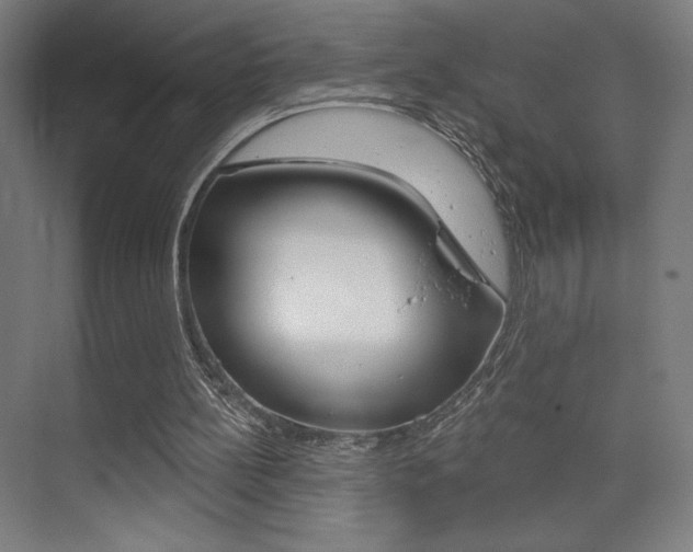 X0000075350148200609080821