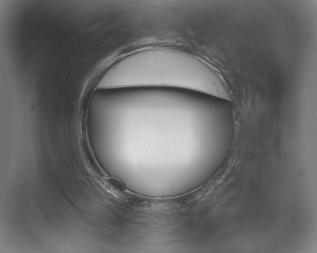 X0000075350149200609080821