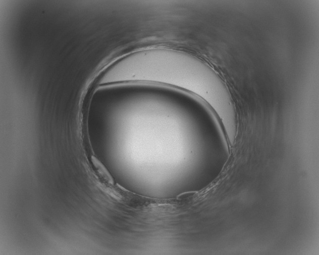 X0000075350150200609080821