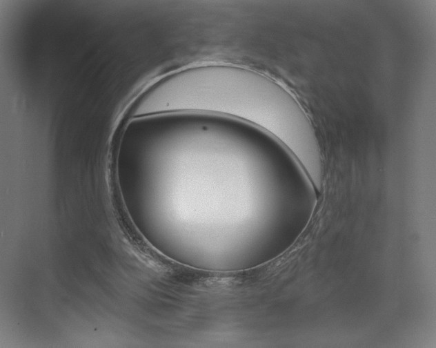 X0000075350152200609080821