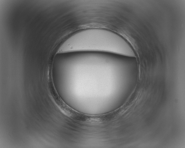 X0000075350157200609080822