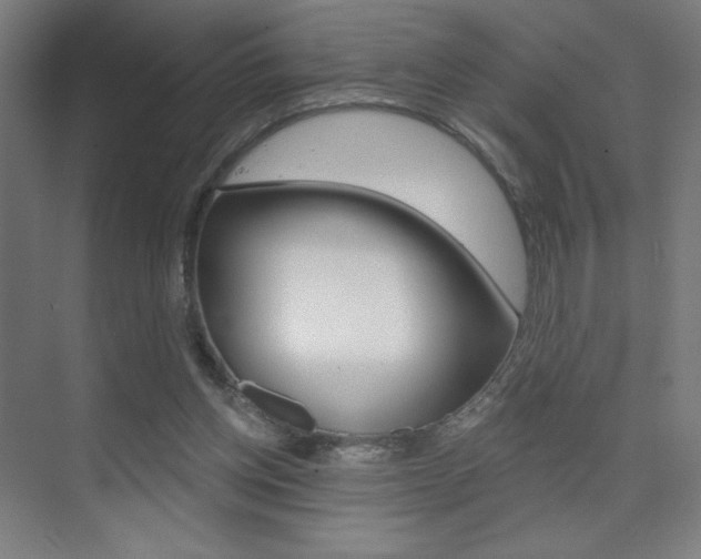 X0000075350158200609080822