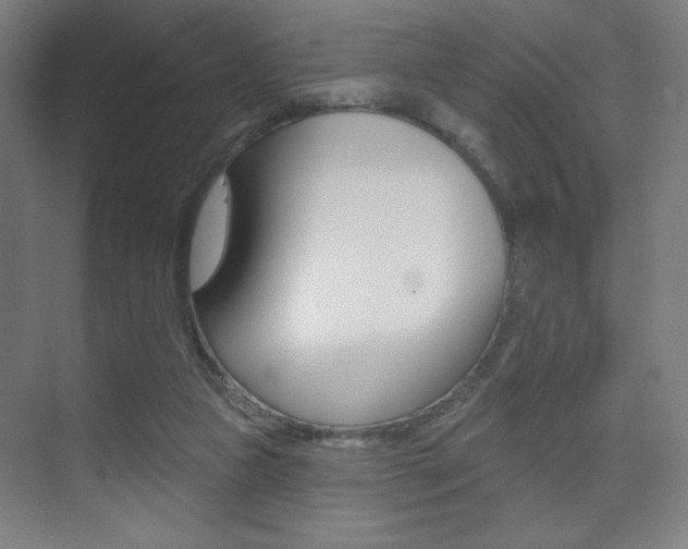X0000075350161200609080822