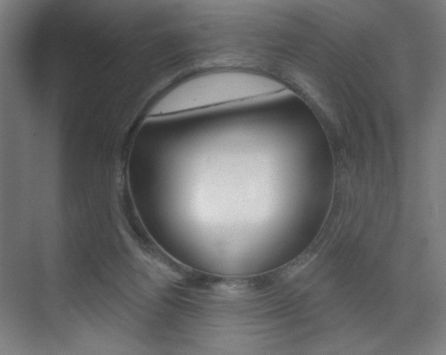 X0000075350164200609080822
