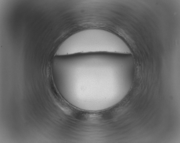 X0000075350165200609080822