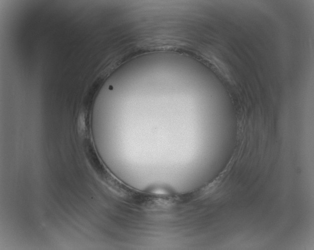 X0000075350166200609080822