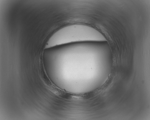 X0000075350167200609080822