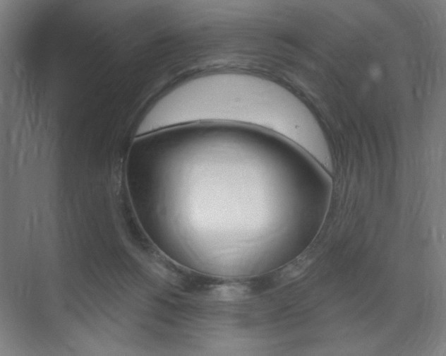X0000075350168200609080822