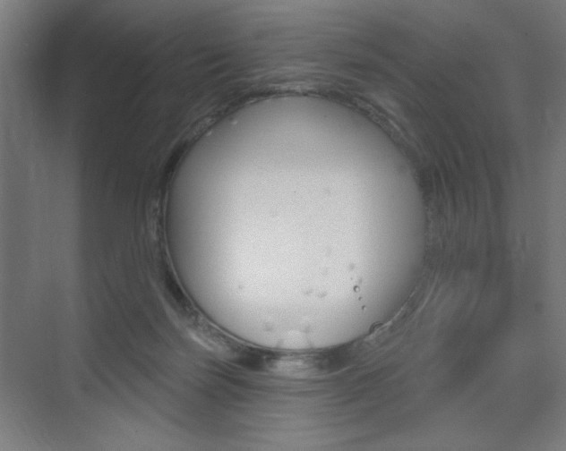 X0000075350171200609080822