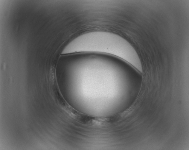X0000075350172200609080822