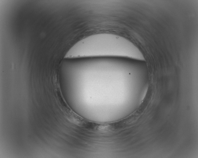X0000075350173200609080822