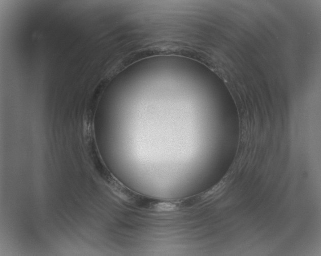 X0000075350176200609080822
