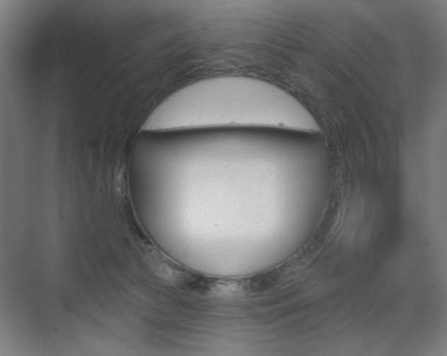 X0000075350177200609080822