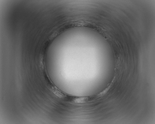 X0000075350178200609080822