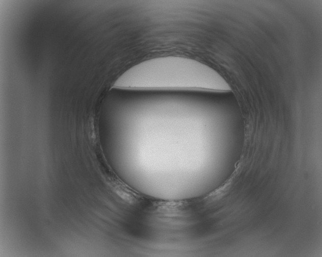 X0000075350182200609080822