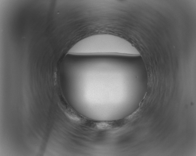 X0000075350183200609080822
