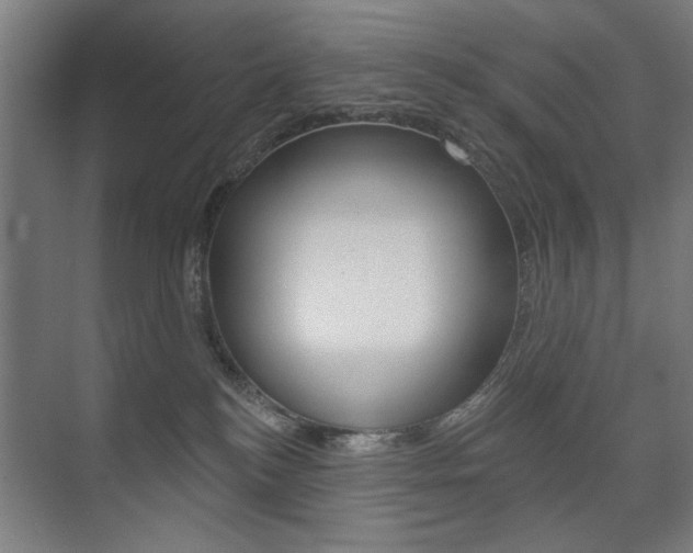 X0000075350184200609080822
