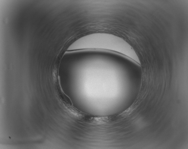 X0000075350188200609080822