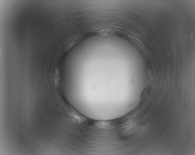X0000075350189200609080822