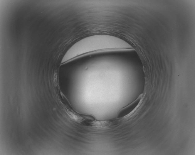 X0000075350192200609080822