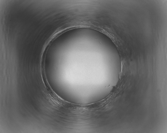 X0000075350195200609080821