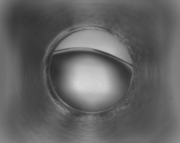 X0000075350197200609080821