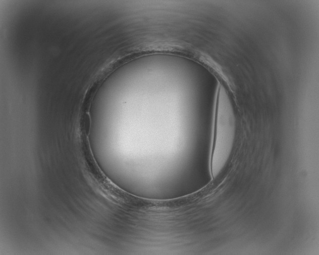 X0000075350203200609080821