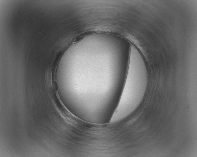 X0000075350205200609080821