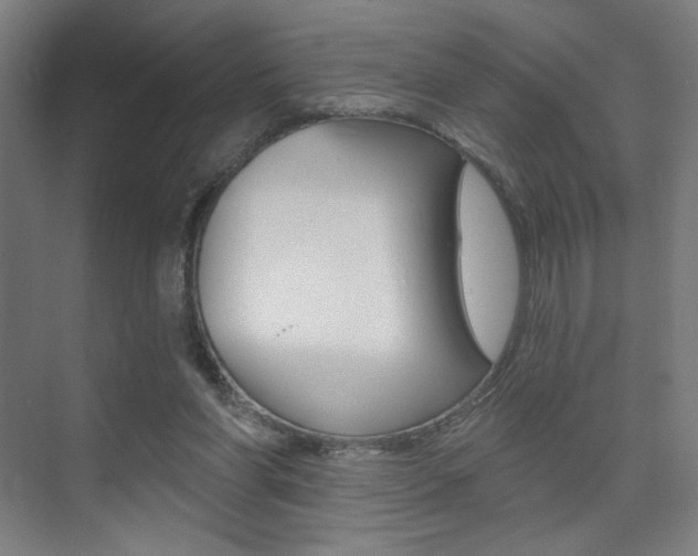 X0000075350206200609080821