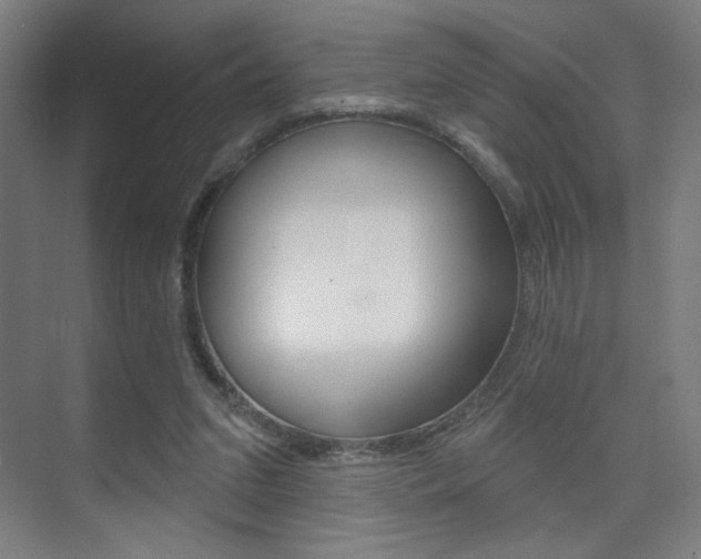 X0000075350207200609080821