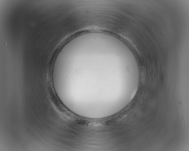 X0000075350208200609080821
