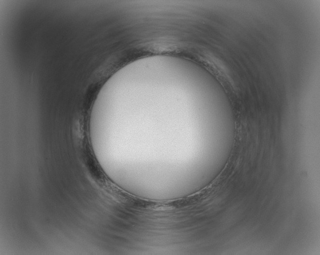 X0000075350210200609080821