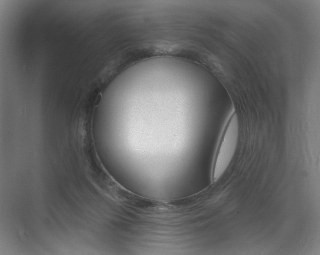 X0000075350215200609080821