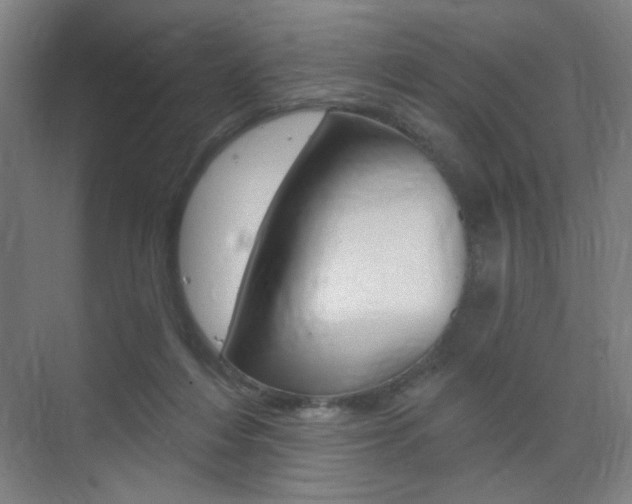 X0000075350216200609080821