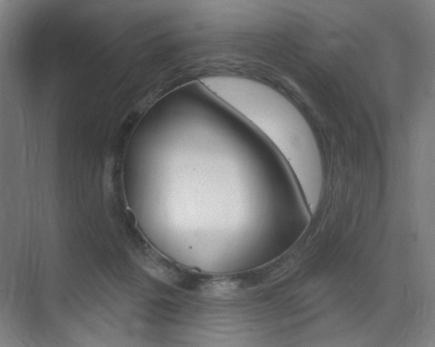 X0000075350217200609080821