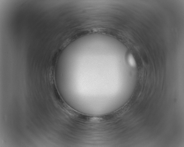 X0000075350222200609080821
