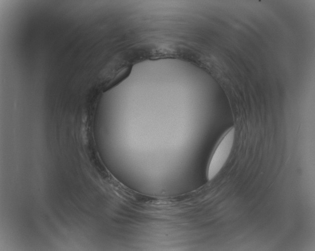 X0000075350223200609080821