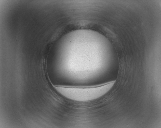 X0000075350225200609080821