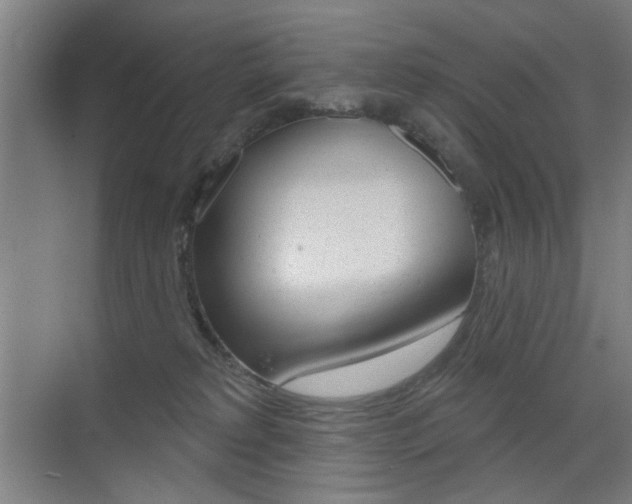 X0000075350229200609080821