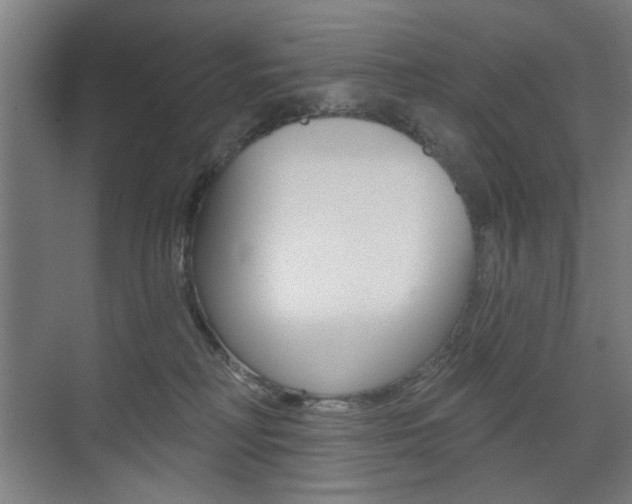 X0000075350230200609080821