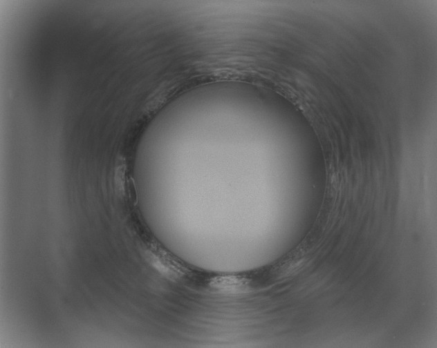 X0000075350231200609080821