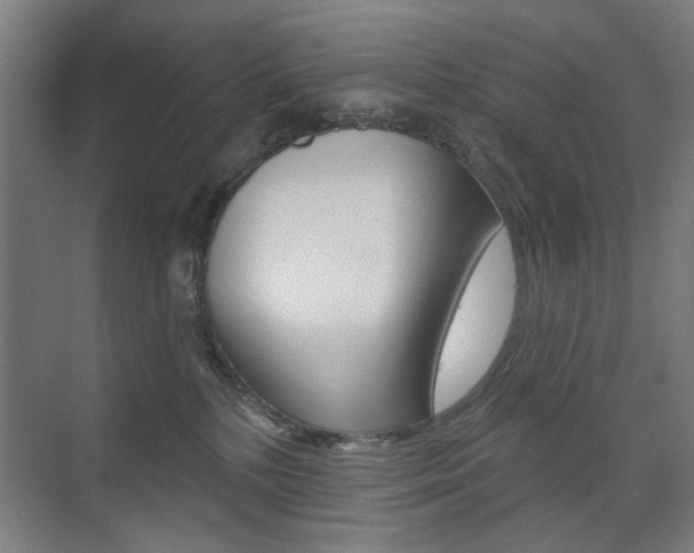 X0000075350232200609080821
