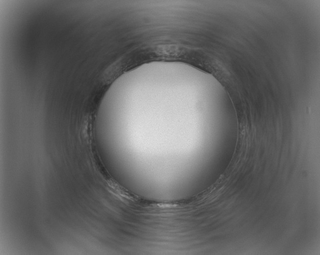 X0000075350233200609080821