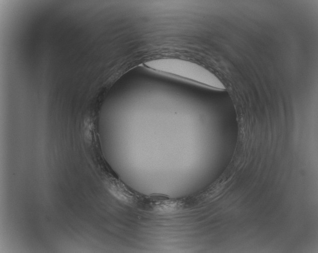 X0000075350235200609080821