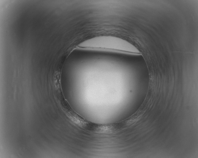 X0000075350237200609080821