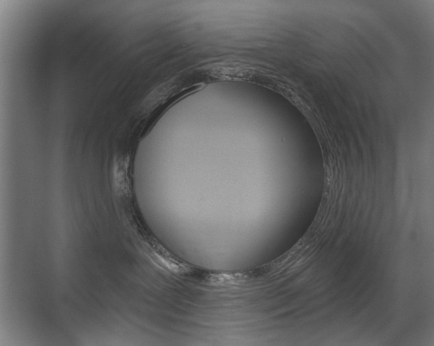 X0000075350239200609080821