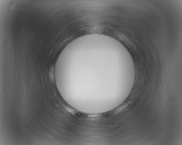X0000075350240200609080821
