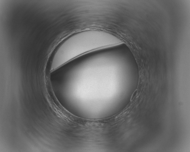 X0000075350242200609080820