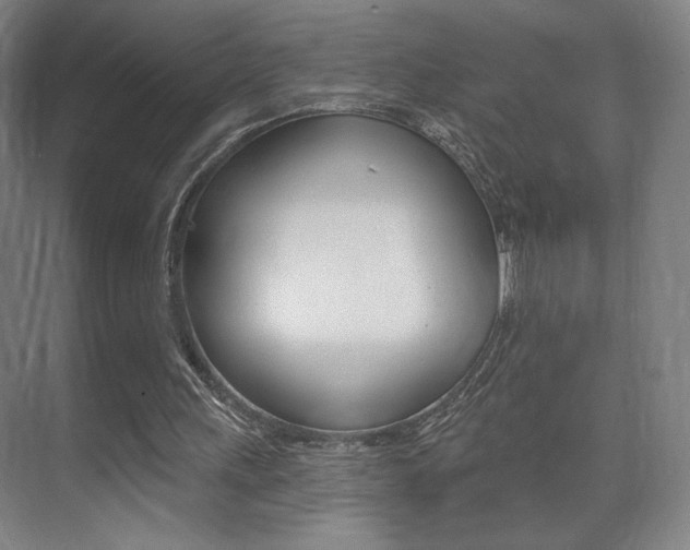 X0000075350243200609080820