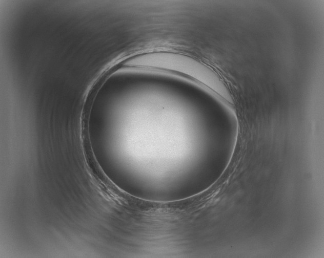 X0000075350244200609080820